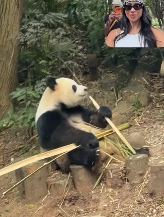滴滴看球-RS直播看球网站